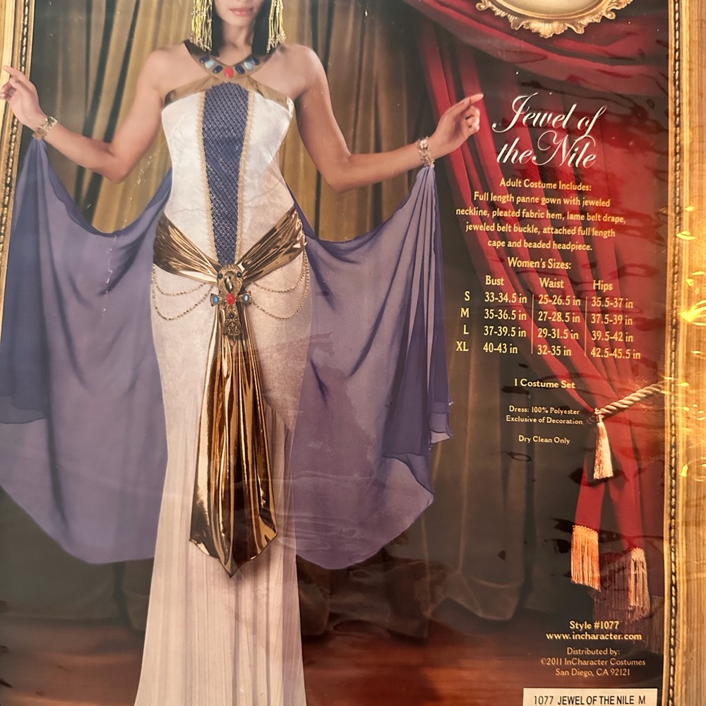 Jewel of the Nile costume